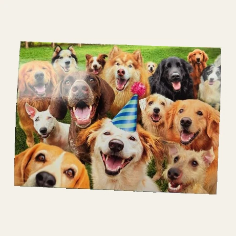 Example Avanti birthday greeting card showing a group of dogs and a striped party hat; designs vary.