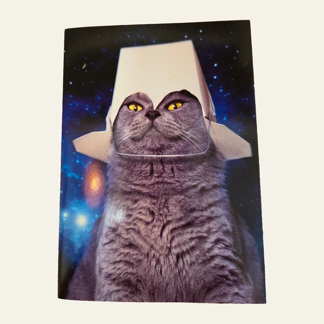 Example Avanti greeting card design featuring a cat in a space helmet against a starry background