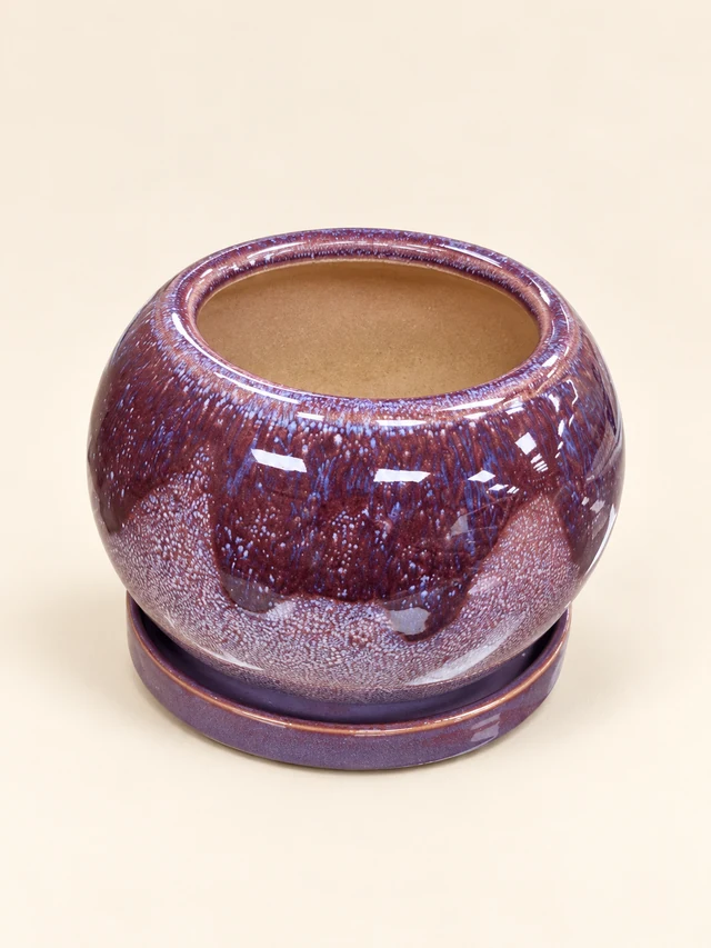 Casey Purple Pot with Saucer