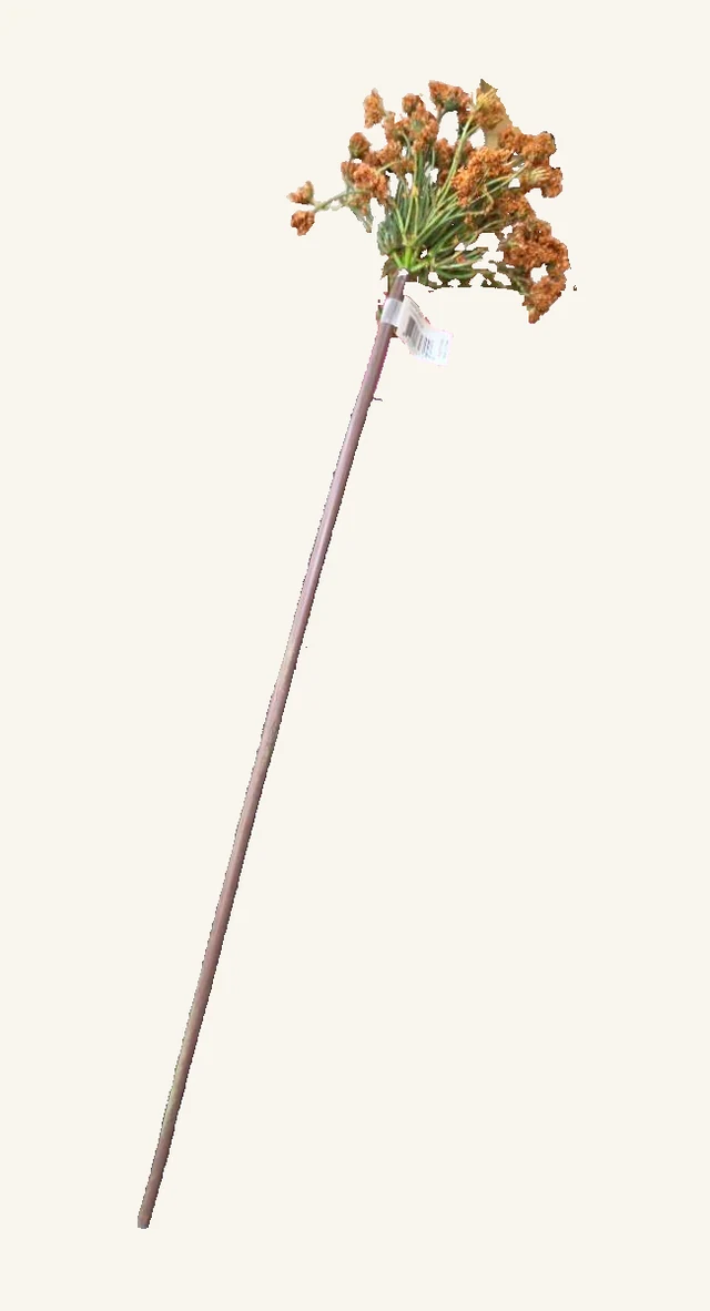 Actual Cinnamon Daucus artificial stem with its complete long mauve-brown stalk, airy green-spoked cinnamon-rust flower head and original white barcode tag
