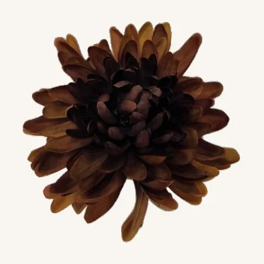 County Fair Chrysanthemum — Chili. Deep brown petals and a dark center add rich contrast to a seasonal floral arrangement.
