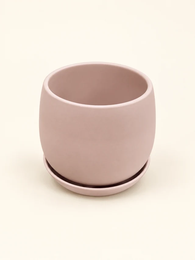 Dalton Blush Pot with Saucer