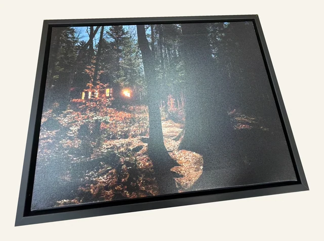 Dark-framed canvas of a low sun shining through tall woodland trees.