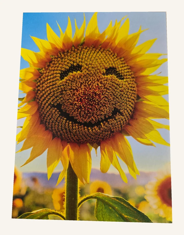 Actual Avanti greeting-card front with a smiling sunflower against a blue sky