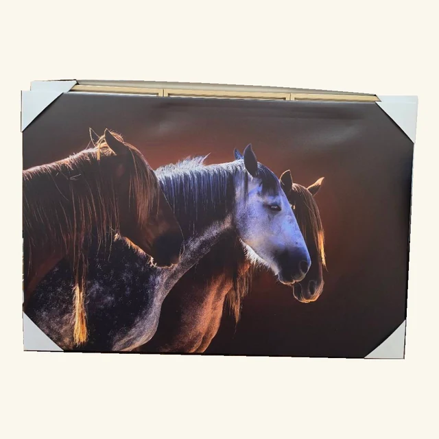 The Silent Bond artwork showing three close horse portraits against a dark brown background, with the four original white protective corners retained